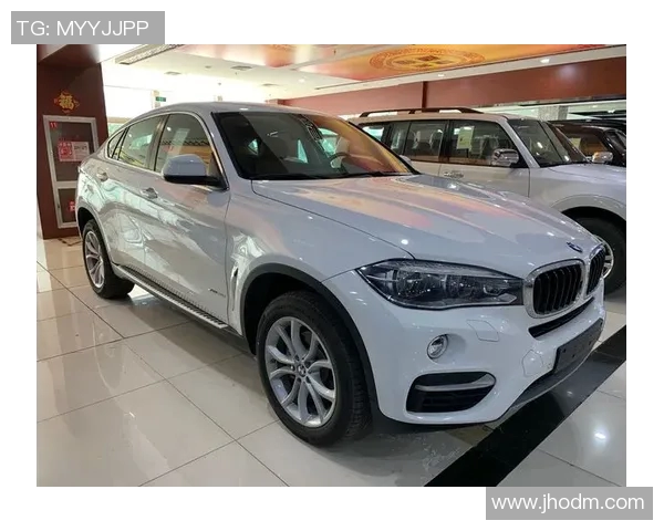 深度对话陈磊篮球人生的起伏与梦想追逐之路