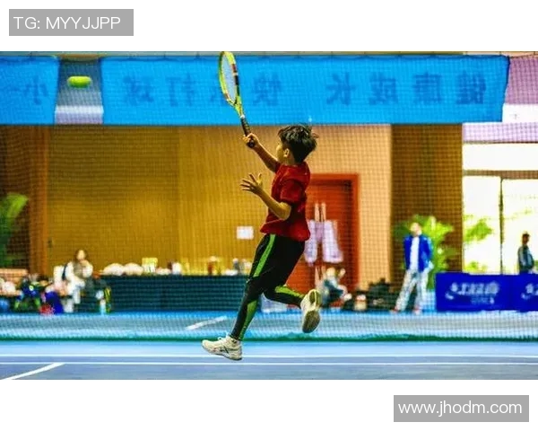 南京羽毛球队逆袭之路：挑战赛中的拼搏与荣耀之旅